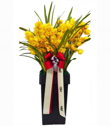 심비디움(노랑.겨울)